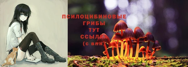 a pvp Корсаков