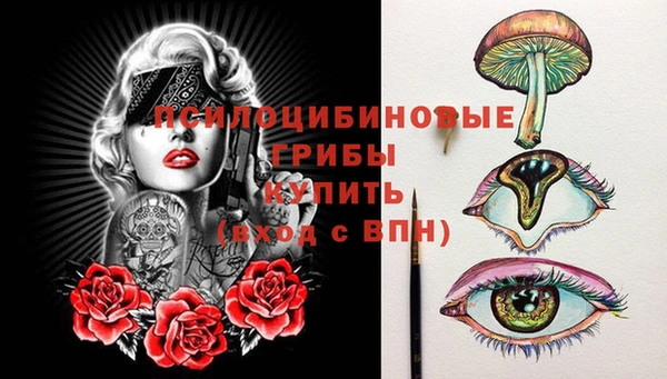 a pvp Корсаков