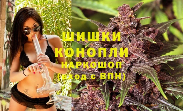 PSILOCYBIN Козловка
