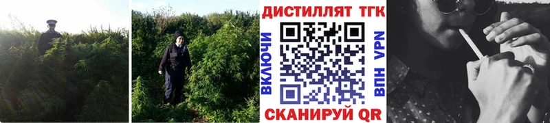 Купить закладки  Высоковск  Дистиллят ТГК жижа 
