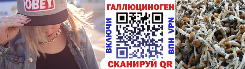 Псилоцибиновые грибы Psilocybine cubensis  Купить где  Высоковск 